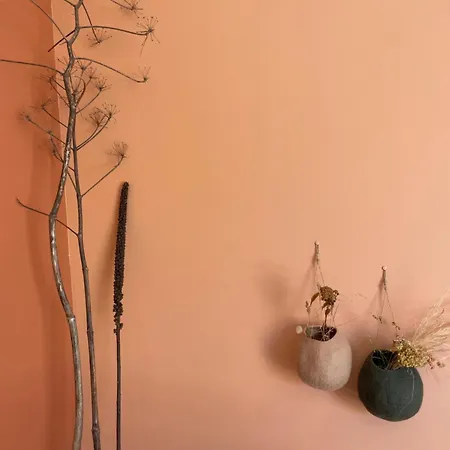 Гостевой дом La Petite Maison Сотта