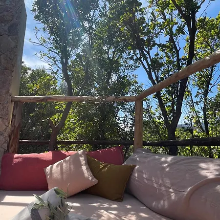 La Petite Maison *